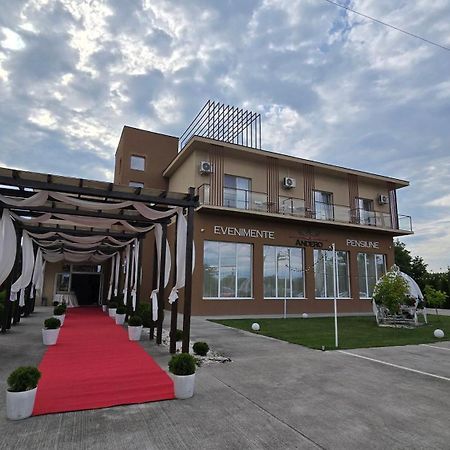 Pensiunea Andero Deva Exterior foto